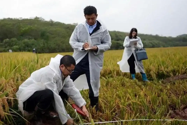 央媒通报！又一间谍行为曝光，作案手法阴险，粮食安全受威胁