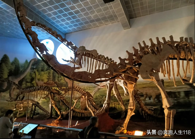 奔向雪域高原，滇藏行一:从钦州到昆明，再到楚雄