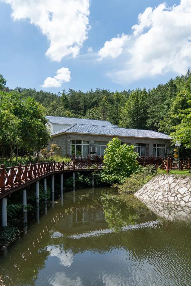 遇鹿山庄：与鹿同栖，住进李白诗中的「星野山居」