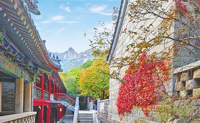 自然观光、民俗体验、冰雪运动、温泉康养……崂山区推出冬季文旅促消费系列活动