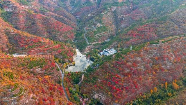 中秋国庆来畅玩山野！淄博这里秋色正在加载中，红叶大片先收藏→