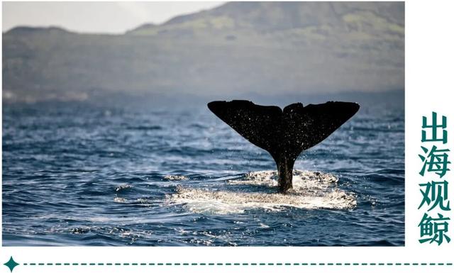 地理冷知识—2026全球最佳旅游地