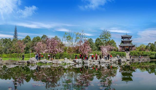 四川省青白江区历史沿革及行政区划