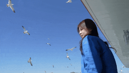 嗨 ~ 海 海 海 海 海 ~