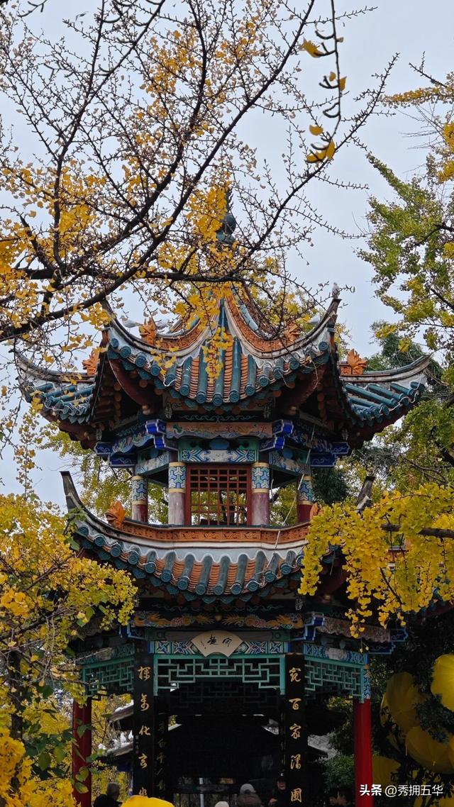 冬日氛围感拉满！跟着香港明星足球队，解锁翠湖海鸥+梧桐黄墙的浪漫剧本