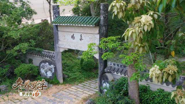 “冬养罗浮”康养品牌发布！在引领区过冬是怎样一种体验？