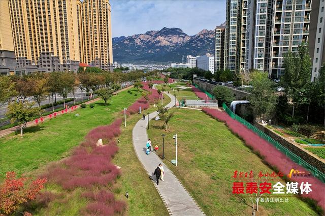邂逅粉色花海，秋日限定浪漫“上新”