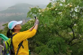 秘境探险~滴水岩图片
