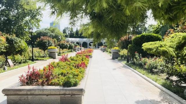 和平秋色美如画 睦南花海醉游人