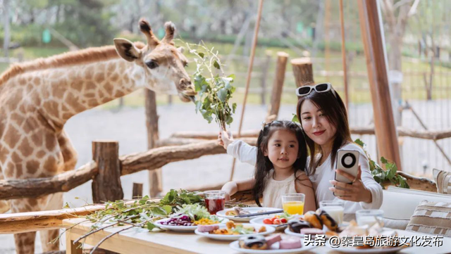 2025年度盘点（旅游篇）：新质生产力赋能全国滨海旅游目的地建设