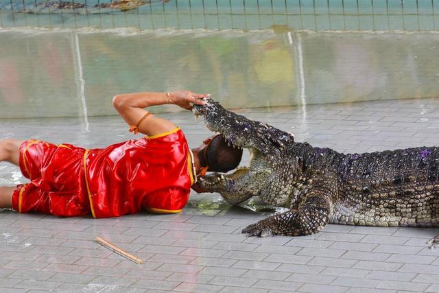 特色游，就是这么特别——在泰国三