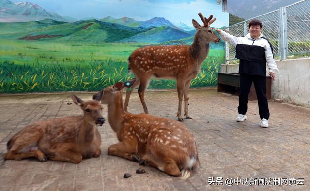 山宗水源.大美青海，云上群加金陵山水度假基地
