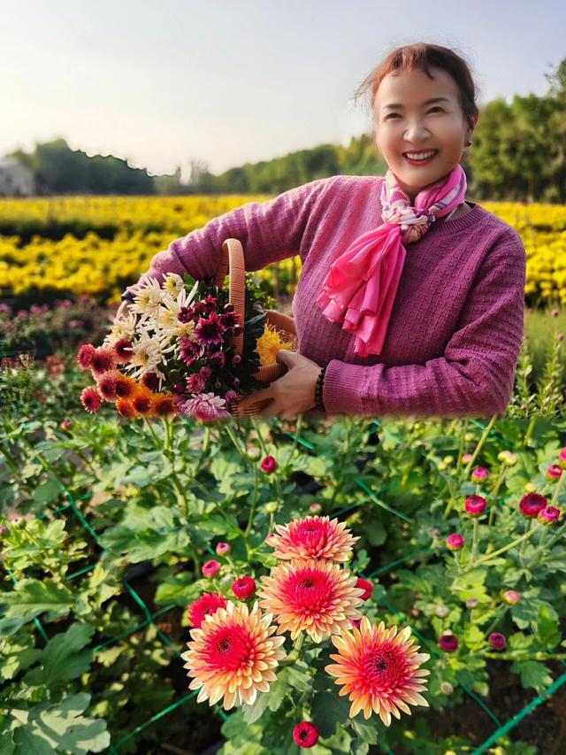 塘坊李的菊花开疯了