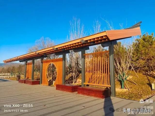 初冬北京玉河湿地公园游记|申艳娟