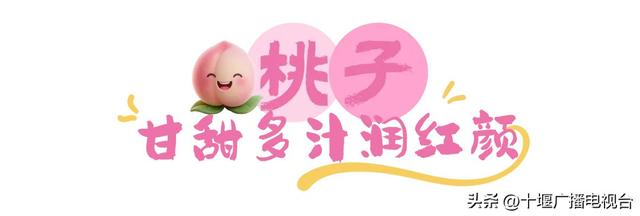 速看！郧阳夏日采摘指南出炉