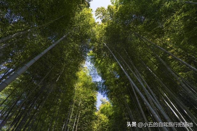 暑假热推！5个小众的避暑城市！