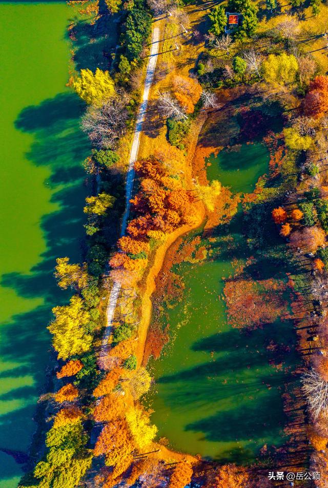 瞰齐鲁|初冬，来济宁赏秋……