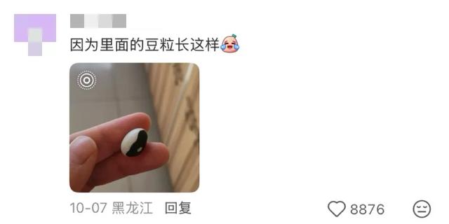 东北旅游，开始流行「命苦三件套」