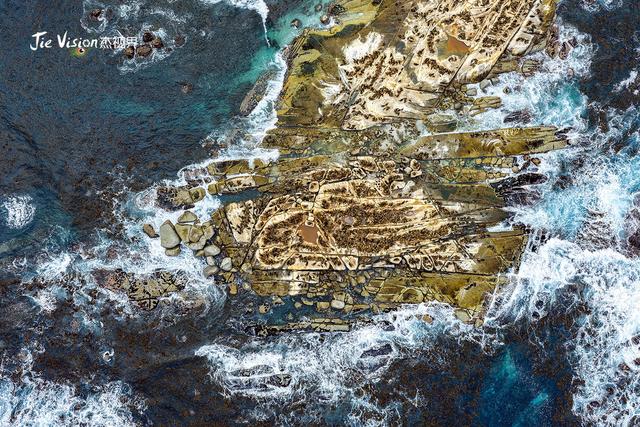 血泪教训！25分钟航程让我湿透，开普敦海豹岛游览必看避坑指南