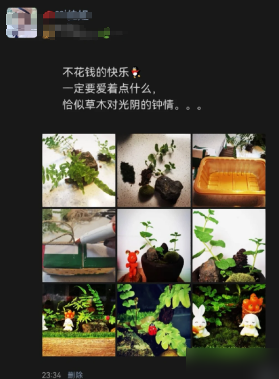 阴花不能进阳宅！这5种花“打死”也不养，家里若有？快挪走！