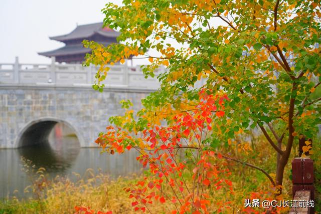 河南淮滨：重阳节里秋景美如画