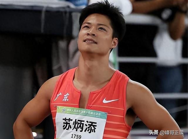 全红婵没想到，全运会还没开始，院长苏炳添凭一句话实现口碑暴增