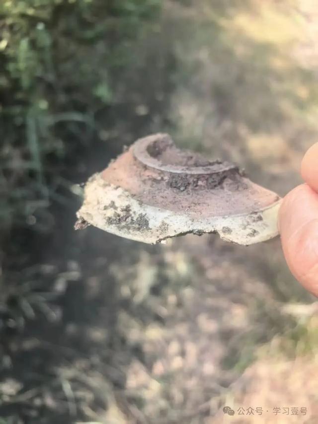 沈阳塔山寻宝记——历史地理视域下