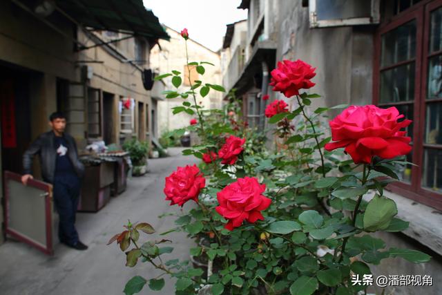 无锡记忆：2013年5月的无锡古运河清名桥，界泾弄一带的生活