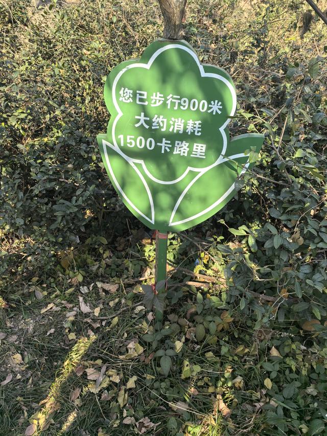 南京第二次到镇江武岐山空青山郊野徒步