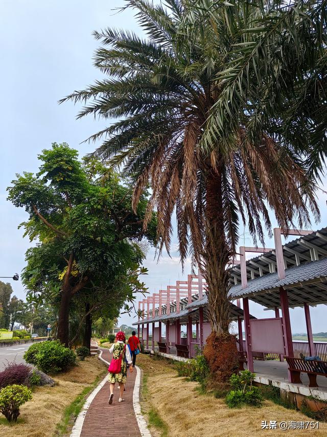 佛山三水芦苞花海生态公园