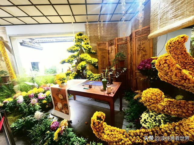 杭州植物园的菊花展——一场关于菊花的饕餮盛宴（二）