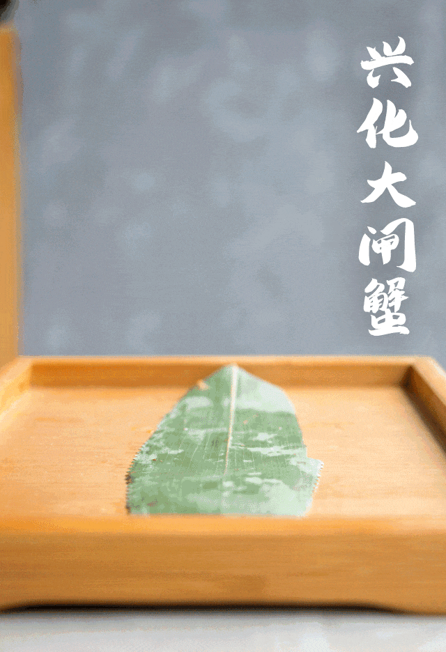 2025兴化“品蟹赏菊”旅游推广活动燃动鲁皖