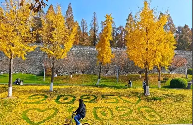 几十万环卫工人被戴上监测手环，这样的科技是进步还是倒退？