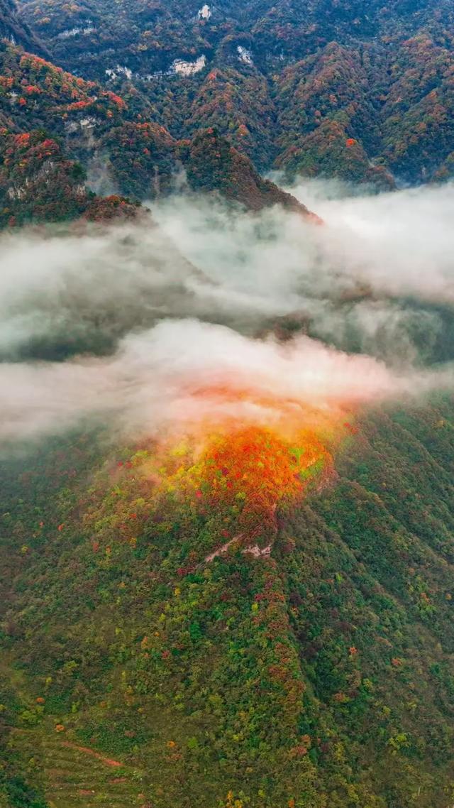 为什么说龙头山，是最不能错过的宝藏赏秋地？