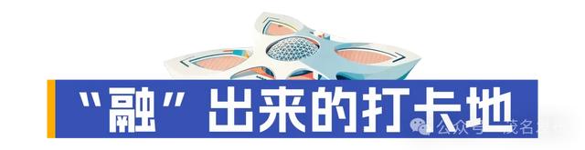 茂名新观察⑧ | 柏桥服务区为何这么“火”