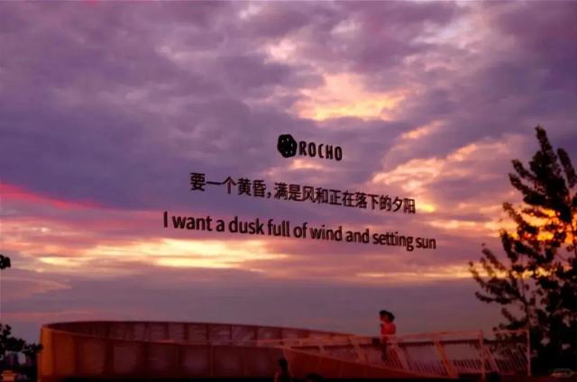 红高粱、向日葵，江心洲打卡正当时
