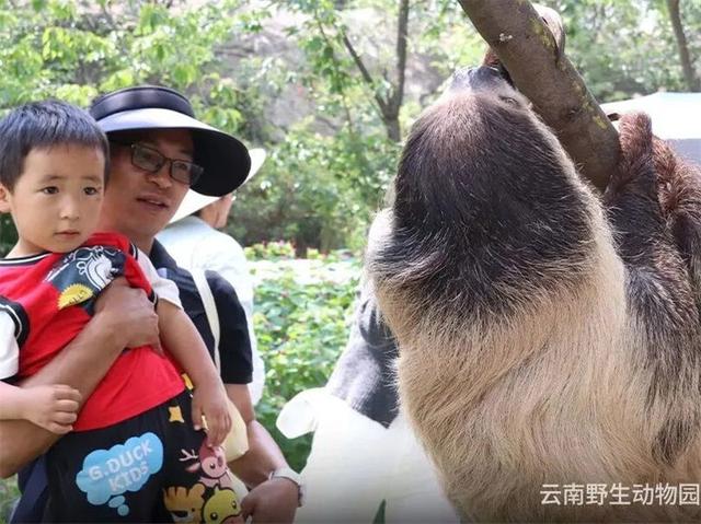 湄旅开学季 | 走进没有天花板的自然课堂！