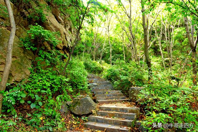 河北百草畔（上）：风动孤石悬险韵，蚁巡深岭蕴生机