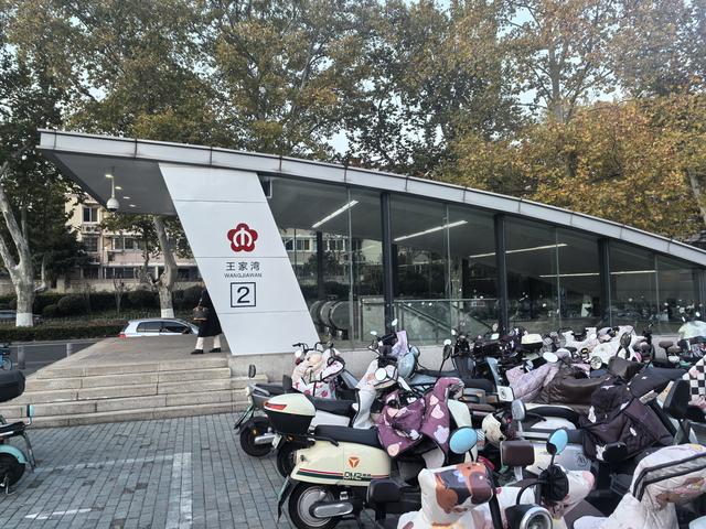 南京紫金山郊野徒步