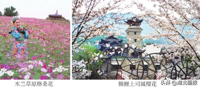 【知音湖北·魅力之城】十一不用去远方，黄陂就是好地方！