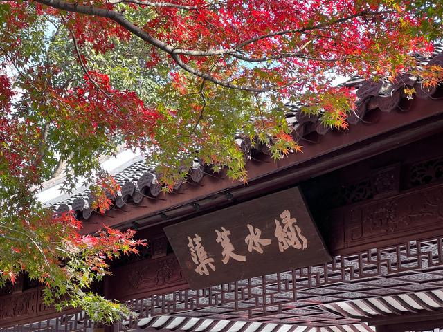 如花如画，每年一见的杭州红叶季到了，错过再等一年。