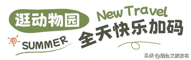 【乐游烟台】进来薅羊毛！烟台这些景区8月有优惠→