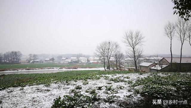 “上午立冬冻死牛	，下午立冬暖烘烘”，今日立冬不一般，有啥说法