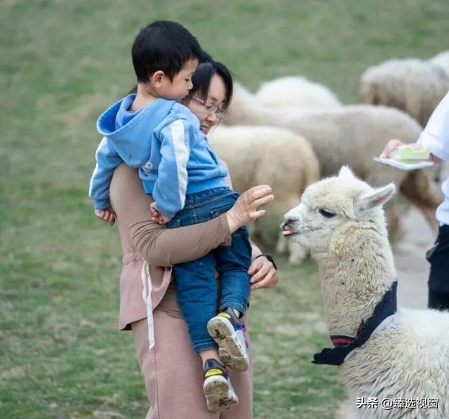 开工倦了？来剑阁，把生活调回松弛频道~