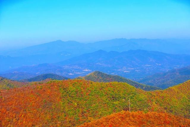 渑池坡头红叶拍摄记：一场迟来的秋日邂逅