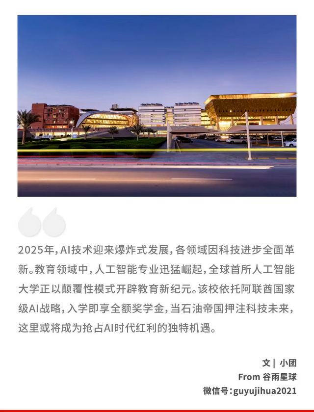 从幼儿园到AI大学，阿联酋如何培养“硅沙上的原住民”？