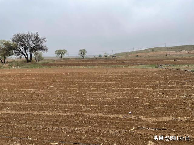鄂尔多斯市达拉特旗田野考察笔记