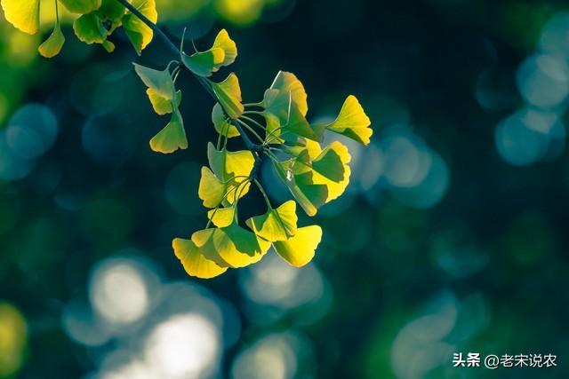 “最怕八月初一雨淋头″，今日八月初一，有啥可怕的？答案来了