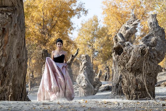 新疆阿瓦提县第二届金胡杨节“胡杨公主”评选演绎美丽动人故事