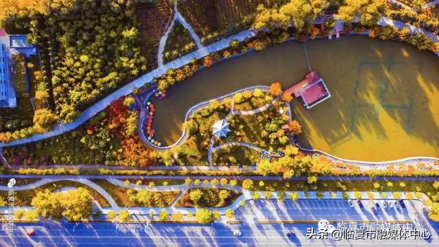 飞阅花都④丨漫步东郊公园 邂逅秋日风光 静享“天然氧吧”